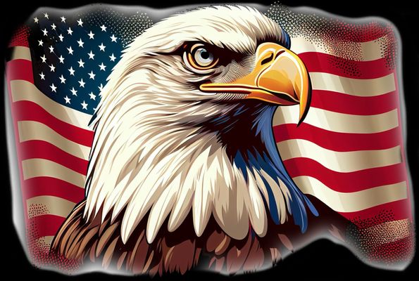 American Roof Pros Logo