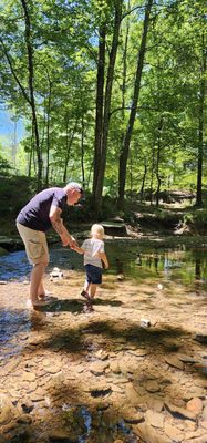Beavers Bend State Park and Nature Center by null