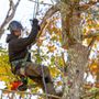 Photo of Charron Tree Service