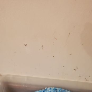 Miller’s Cleaning Service - My walls were not wiped down with a DEEP CLEAN! - Office Cleaning Near Me - Kingsport, Tennessee Miller’s Cleaning Service - My walls were not wiped down with a DEEP CLEAN! - Office Cleaning Near Me - Kingsport, Tennessee