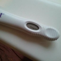 Pregnant! Pregnant!