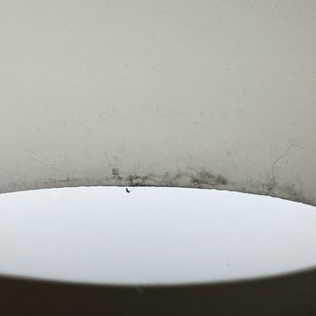 Heaven Scent Cleaners - Dirty and bugs on bath light fixture - Home Cleaning Near Me