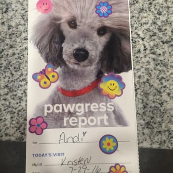 PetSmart - Her Pawgress Report after getting a trim! - Pet Stores Near Me - Jacksonville, Florida