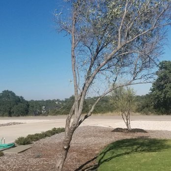 Moon Valley Nurseries - Picture # 1 - Nurseries & Gardening Near Me - Austin, Texas