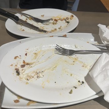 Opa Grille - Satisfaction - Greek Near Me - Williston Park, New York