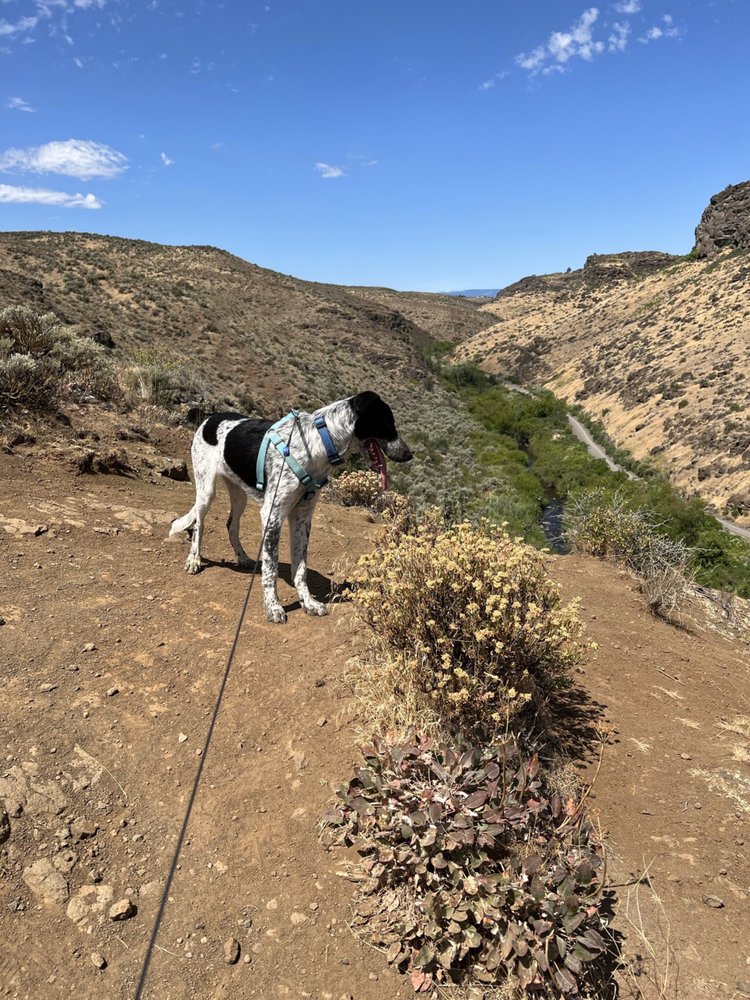 Uplands Trail of Cowiche Canyon