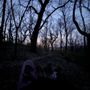 Photo of Fairmount Park