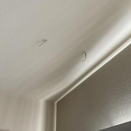2 termite tubes coming out of the ceiling 2 termite tubes coming out of the ceiling