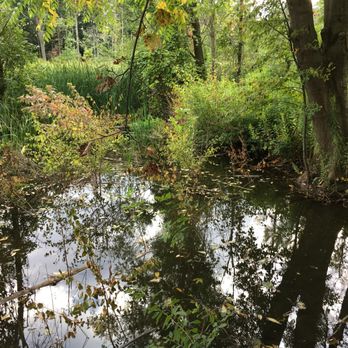 Rattray Marsh - Hiking Near Me - Mississauga, Ontario