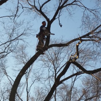 Ralphs Tree Service - Tree Services Near Me Ralphs Tree Service - Tree Services Near Me