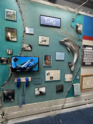 Man in the Sea Museum by null