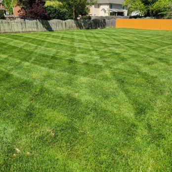 Lawns by Carlito - a freshly mowed lawn - Landscaping Near Me - Durham, North Carolina Lawns by Carlito - a freshly mowed lawn - Landscaping Near Me - Durham, North Carolina