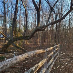 Leatherneck Land Clearing