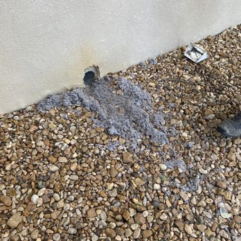 Green Quality Air - Wet lint blown out ( they cleaned that up too) - Air Duct Cleaning Near Me