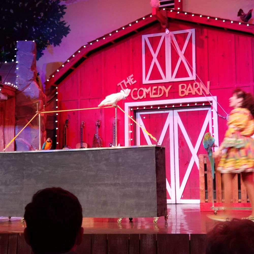The Comedy Barn Theater - Animal acts... - Performing Arts Near Me - Pigeon Forge, Tennessee The Comedy Barn Theater - Animal acts... - Performing Arts Near Me - Pigeon Forge, Tennessee