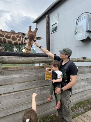 Aloha Safari Park by null