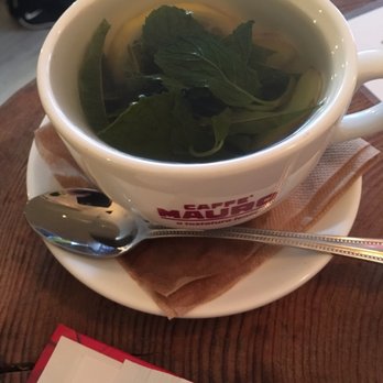 Mellow Yellow - Moroccan tea, so good!! - Coffee & Tea Near Me - New York, New York Mellow Yellow - Moroccan tea, so good!! - Coffee & Tea Near Me - New York, New York