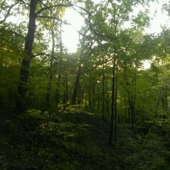 Swallow Cliff Woods - Not taken anywhere NEAR "The Stairs" - Hiking Near Me - Palos Hills, Illinois Swallow Cliff Woods - Not taken anywhere NEAR "The Stairs" - Hiking Near Me - Palos Hills, Illinois