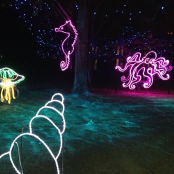 Denver Zoo Lights - Festivals Near Me - Denver, Colorado Denver Zoo Lights - Festivals Near Me - Denver, Colorado