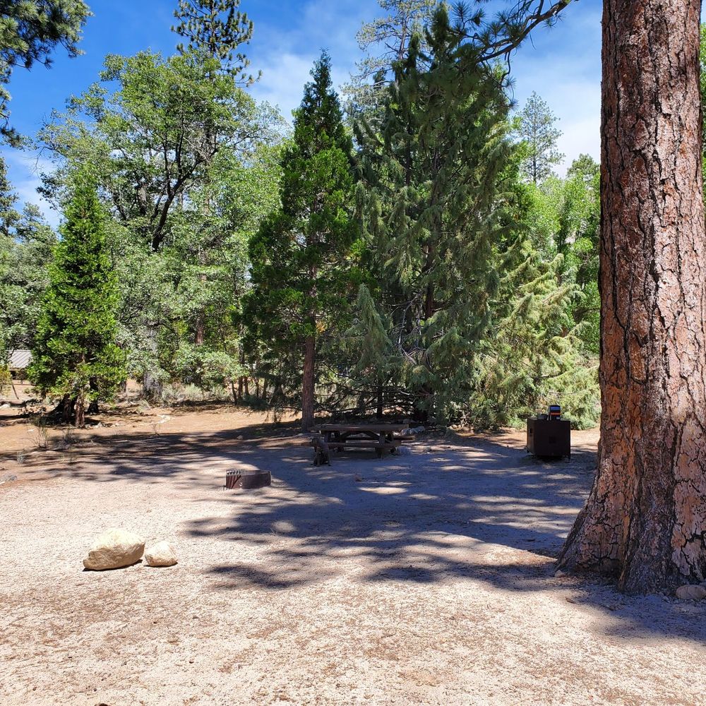 Barton Flats Campground - Campsite 20 with a good amount of shade around 2:00 pm. - Campgrounds Near Me - San Bernardino, California
