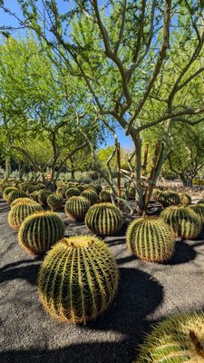 Sunnylands Center & Gardens by null