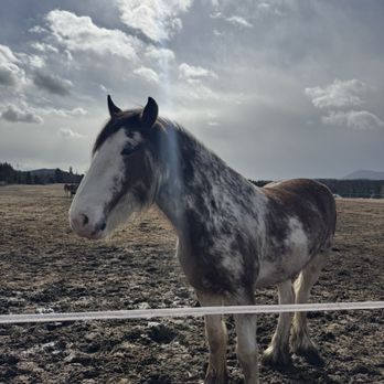 Clydesdale Outpost - Venues & Event Spaces Near Me - Whitefish, Montana