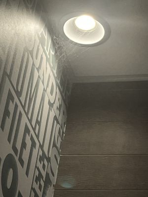 McDonald's by null