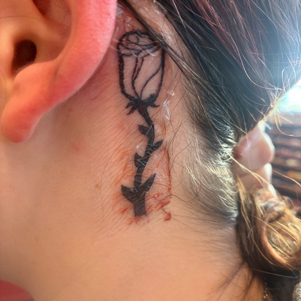 vegan fiber long straight ponytail - ruby 26\, image size:1000x1000