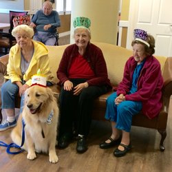 Pet Prescription Team