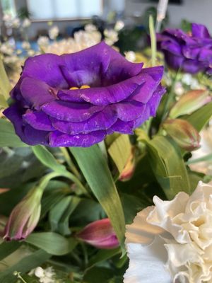 Safeway Bakery by null