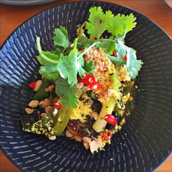 Barramundi