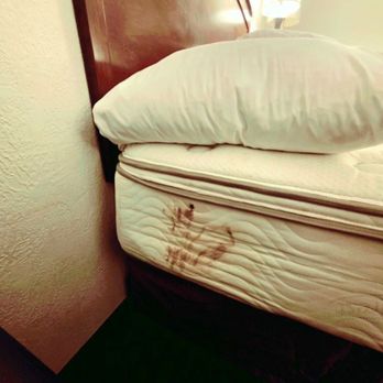 Ramada by Wyndham Enid - A bloody handprint on the mattress our mattress - Hotels Near Me - Enid, Oklahoma Ramada by Wyndham Enid - A bloody handprint on the mattress our mattress - Hotels Near Me - Enid, Oklahoma