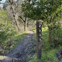 Bishop Ranch Regional Preserve