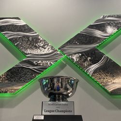 XGolf Garnet Valley