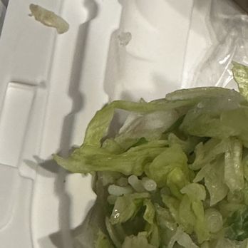 Pho Island - Shrimp 3. Spring Rolls - Vietnamese Near Me - Chino, California Pho Island - Shrimp 3. Spring Rolls - Vietnamese Near Me - Chino, California