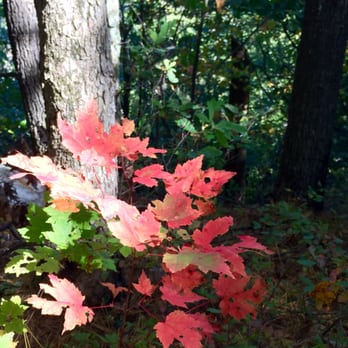 Monument Mountain - Foliage hike. - Hiking Near Me - Great Barrington, Massachusetts