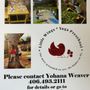 Photo of Little Wings Preschool