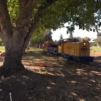 Bishop's Pumpkin Farm - Train for the little ones. - Christmas Trees Near Me - Wheatland, California Bishop's Pumpkin Farm - Train for the little ones. - Christmas Trees Near Me - Wheatland, California