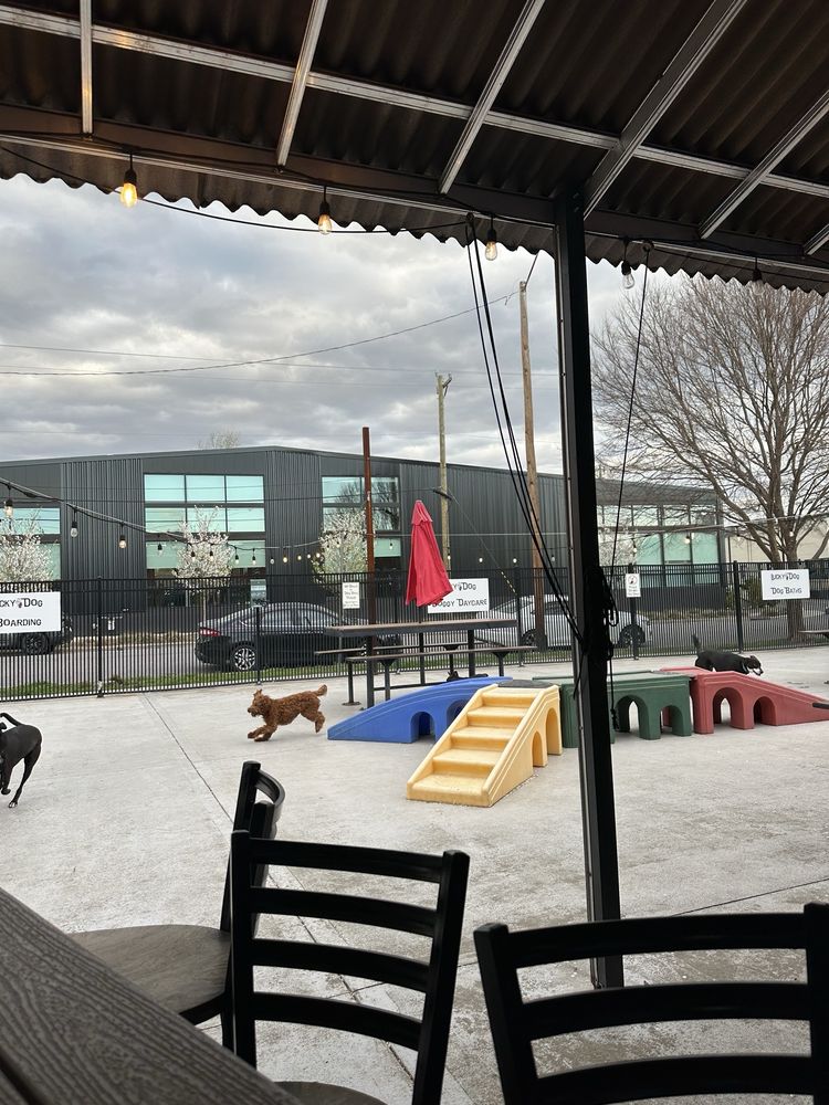 Lucky Dog Bark & Brew Charlotte