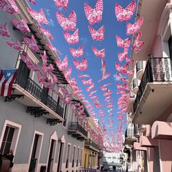 Umbrella Path