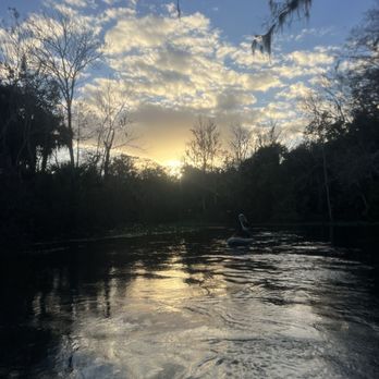 Silver Springs State Park - Tours Near Me - Silver Springs, Florida Silver Springs State Park - Tours Near Me - Silver Springs, Florida