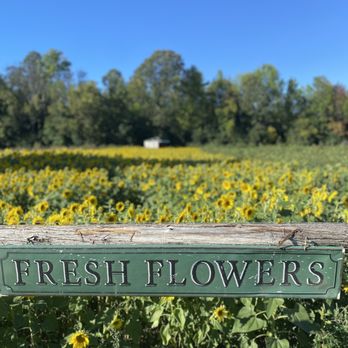 Country Dreams Farm - Attraction Farms Near Me - Plattsburgh, New York Country Dreams Farm - Attraction Farms Near Me - Plattsburgh, New York
