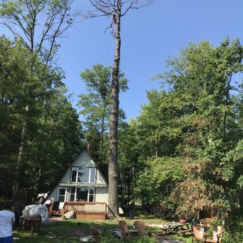 Widmers Tree Service - House - Tree Services Near Me Widmers Tree Service - House - Tree Services Near Me