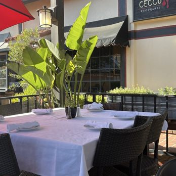 Cecco Ristorante - Italian Near Me - Solvang, California Cecco Ristorante - Italian Near Me - Solvang, California
