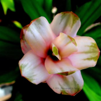 The Home Depot - Nurseries & Gardening Near Me - Miami, Florida