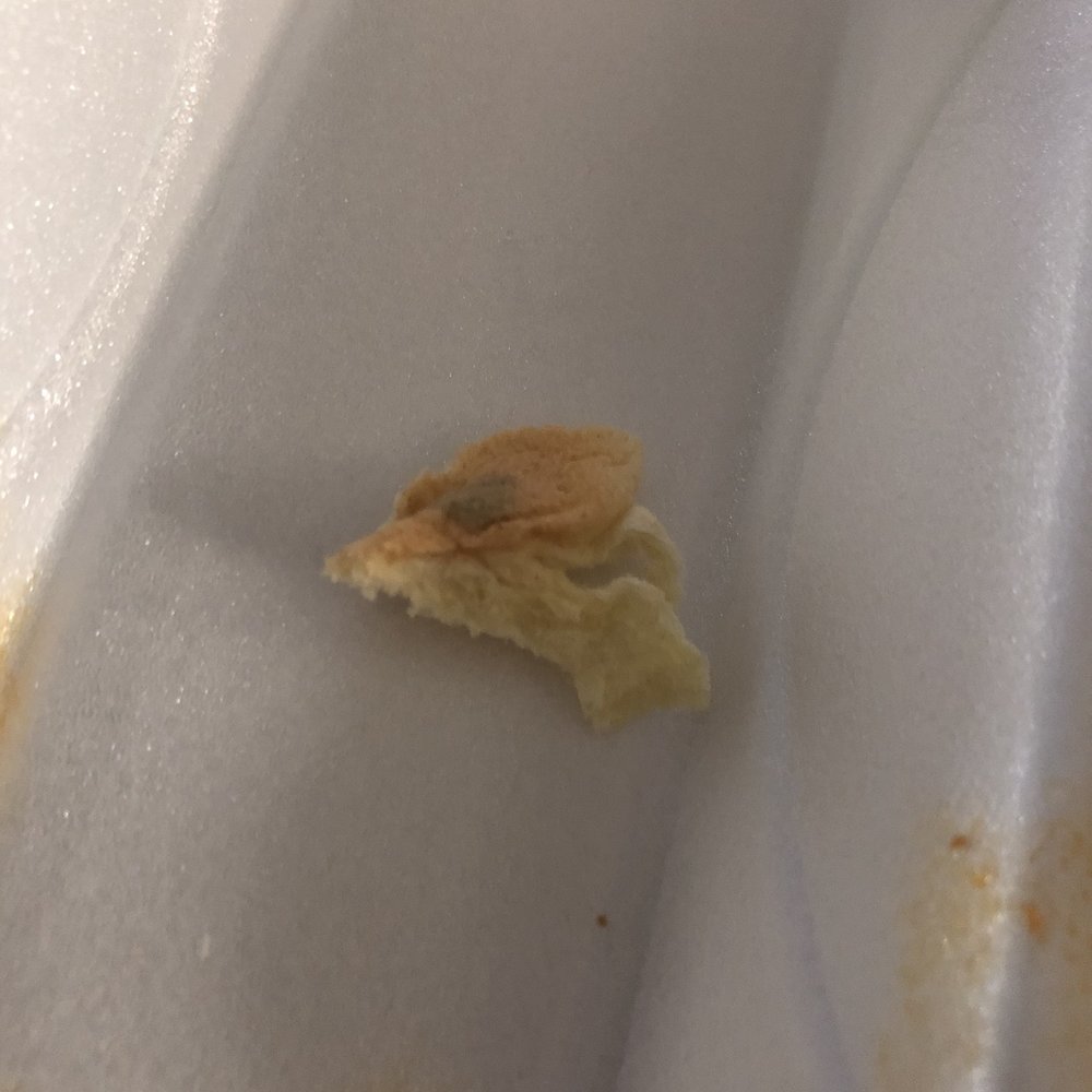 BurgerFi - Moldy bun anyone? - Burgers Near Me - Cary, North Carolina BurgerFi - Moldy bun anyone? - Burgers Near Me - Cary, North Carolina