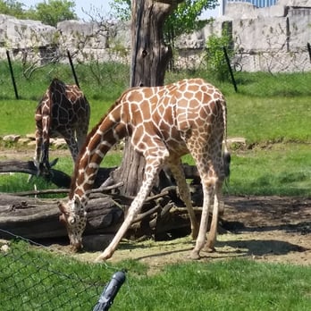 Indianapolis Zoo - Zoos Near Me - Indianapolis, Indiana