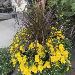 Spray's Landscape - Nursery and Garden Center