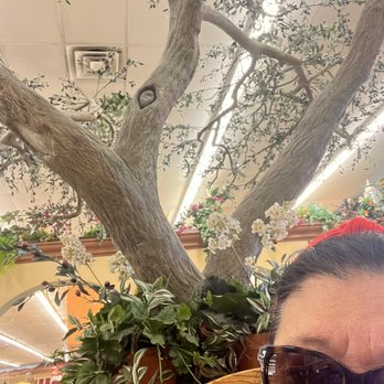 Cardenas Markets - Indoor dining area with artificial tree to have an outdoor ambience - Meat Shops Near Me - Rialto, California Cardenas Markets - Indoor dining area with artificial tree to have an outdoor ambience - Meat Shops Near Me - Rialto, California