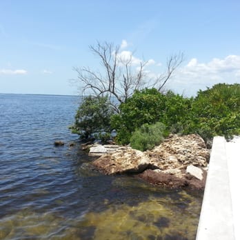 Ponce De Leon Park - Another beautiful day at Ponce De Leon - Parks Near Me - Punta Gorda, Florida Ponce De Leon Park - Another beautiful day at Ponce De Leon - Parks Near Me - Punta Gorda, Florida